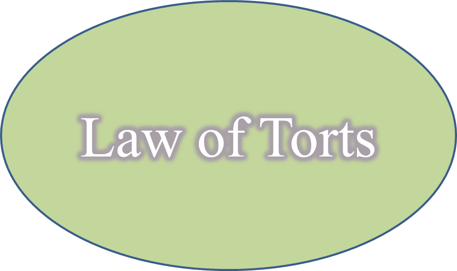 Easy Notes Law Of Torts